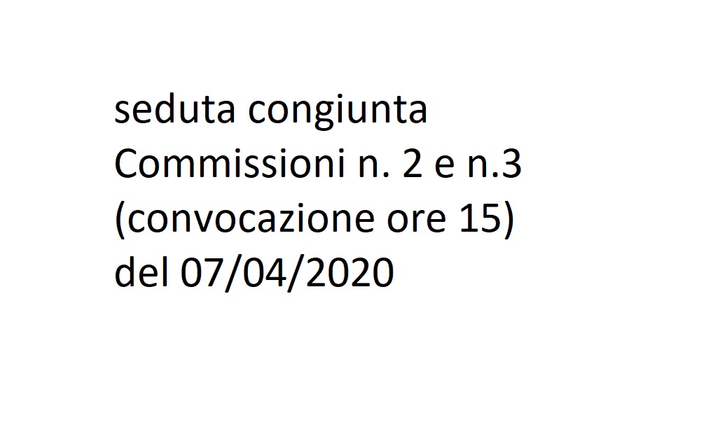 seduta congiunta Commissioni n. 2 e n.3 del 07/04/2020 ore 15:00